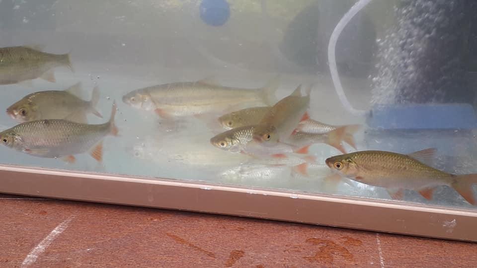 Aquarium